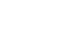 Docusoft-logo-white